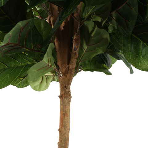 FIDDLE LEAF TREE 150CM GREEN