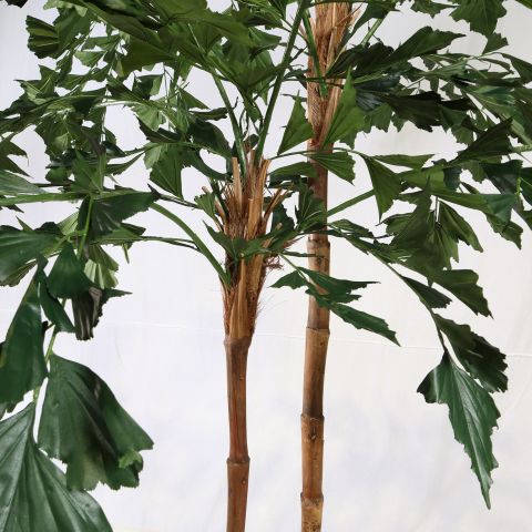 FISHTAIL PALM TREE 270CM GREEN