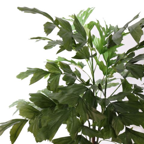 FISHTAIL PALM 120CM GREEN