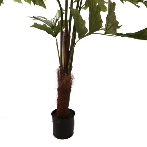 FISHTAIL PALM 120CM GREEN