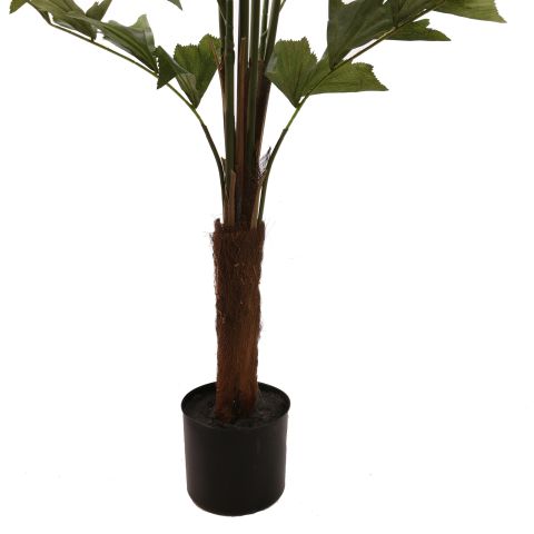 FISHTAIL PALM 180CM GREEN