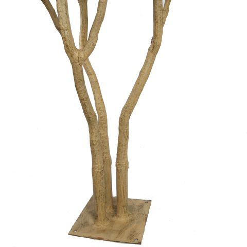 PACHIRA GIANT 290CM GREEN