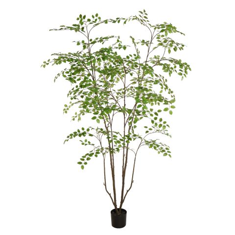 70210144-gr.jpg