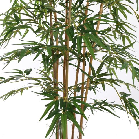 BAMBUSA BAMBOO 150CM GREEN