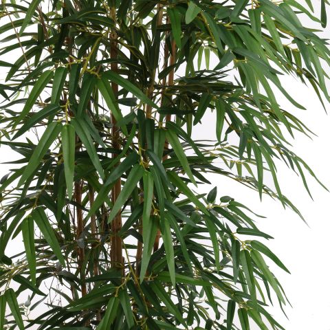 BAMBUSA BAMBOO 180CM GREEN