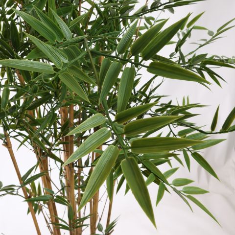 UV PLASTIC JAPANESE BAMBOO 120CM GREEN