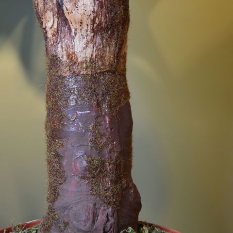 GIANT ALOCASIA TREE 140CM GREEN