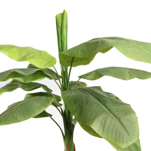 BANANA TREE 240CM GREEN