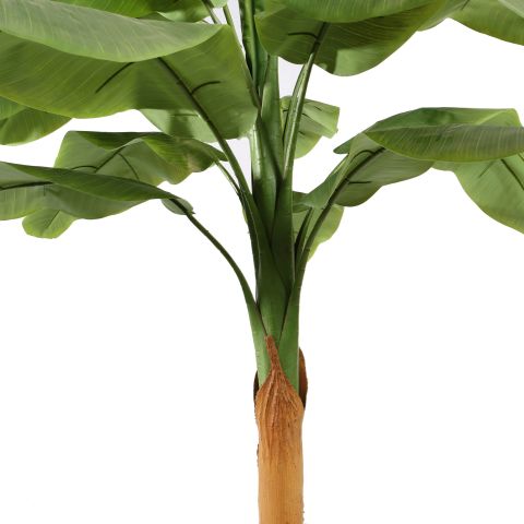 BANANA TREE 240CM GREEN