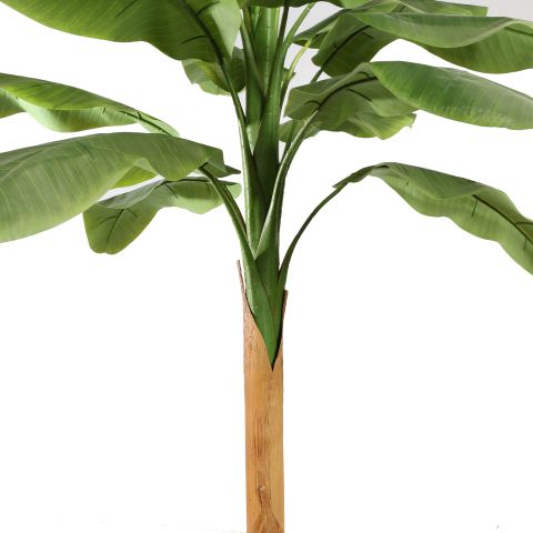 BANANA TREE 270CM GREEN