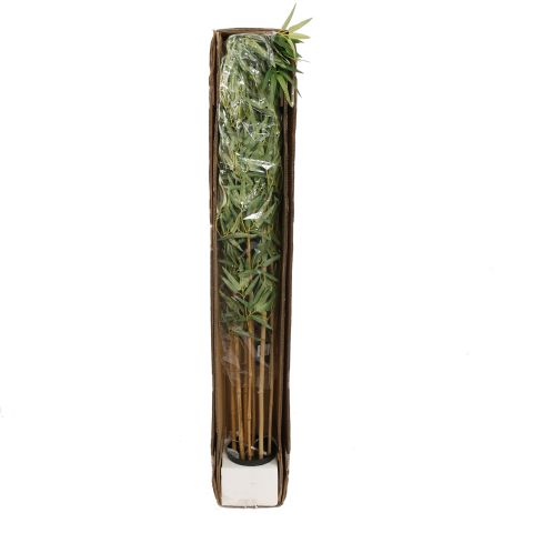 OLIVE TREE 150CM GREEN
