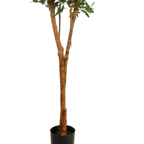 UV PLASTIC OLIVE TREE 210CM GREEN