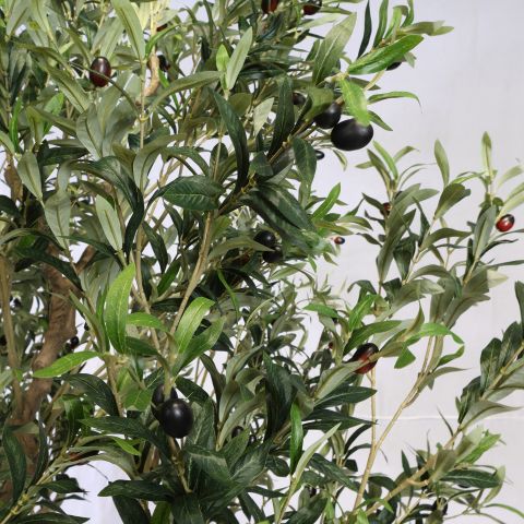 OLIVE TREE 250CM GREEN
