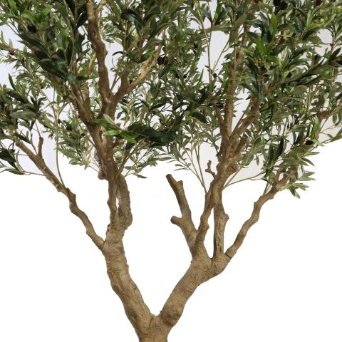 OLIVE TREE 250CM GREEN