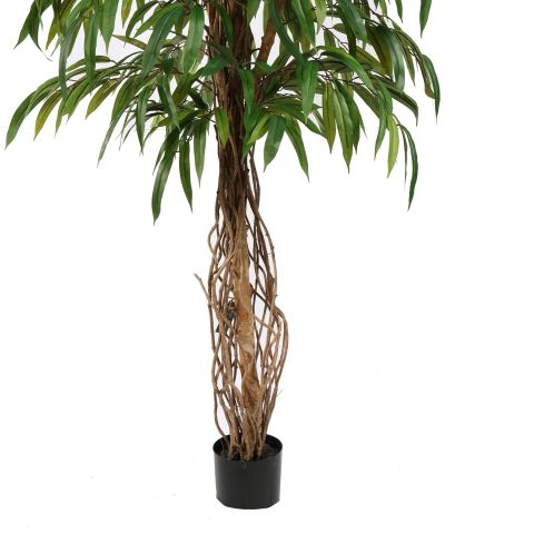 CURVY WEEPING FICUS 180CM GREEN