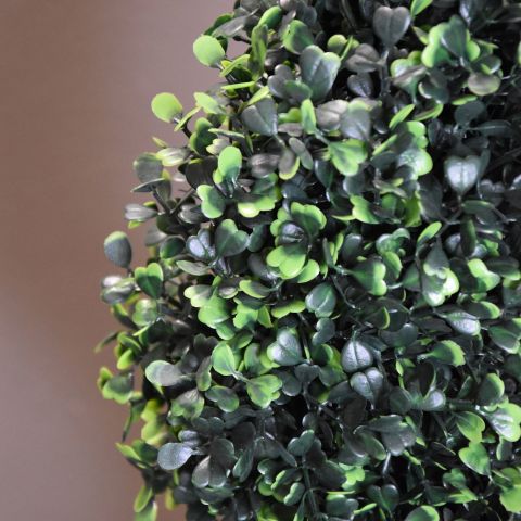 SPIRAL BOXWOOD 150CM GREEN