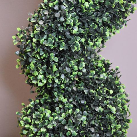 SPIRAL BOXWOOD 150CM GREEN