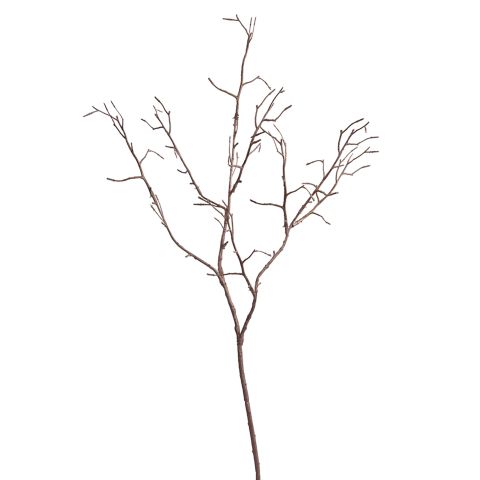 90020156-pi_0.jpeg