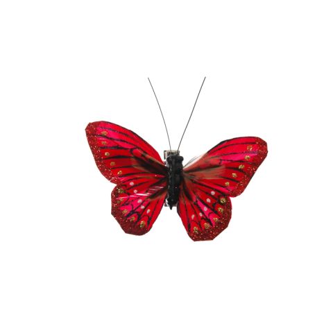 97871 RE.jpg