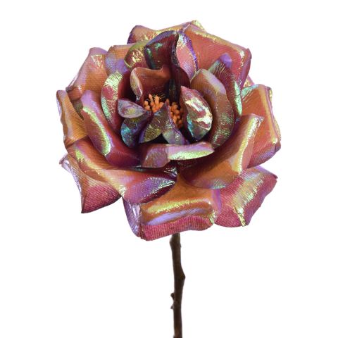 ROSE SHINY 62CM MASSALA