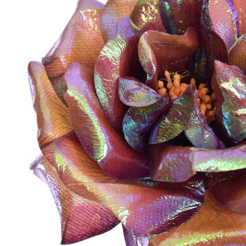 ROSE SHINY 62CM MASSALA