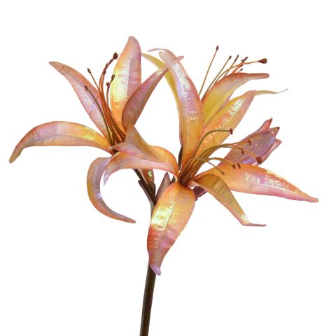 AMARYLLIS SHINY 80CM YELLOW