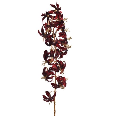 MARTAGON LILY 105CM GOLD RED
