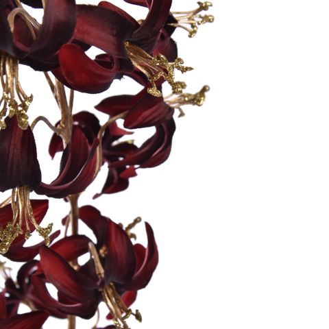 MARTAGON LILY 105CM GOLD RED