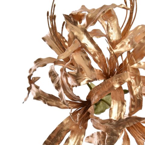 LYCORIS RADIATA 95CM GOLD