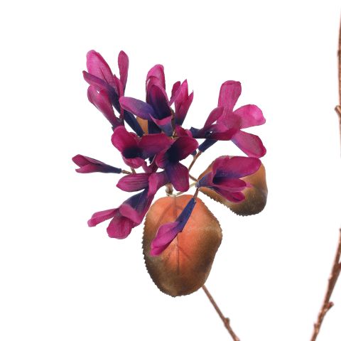 HONEYSUCKLE 90CM ROSE BURGUNDY