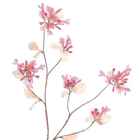 LARGE HONEYSUCKLE 120CM ROSE BEAUTY