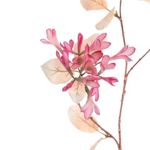LARGE HONEYSUCKLE 120CM ROSE BEAUTY