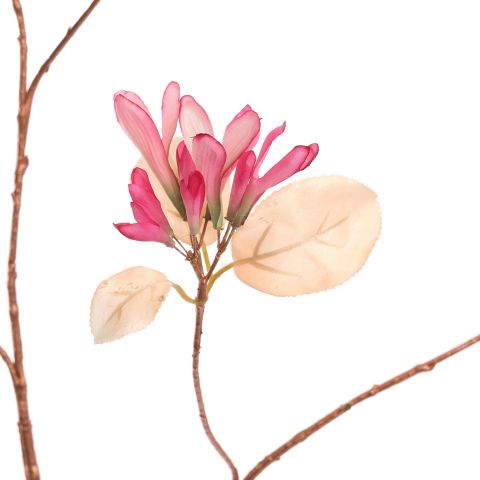 LARGE HONEYSUCKLE 120CM ROSE BEAUTY