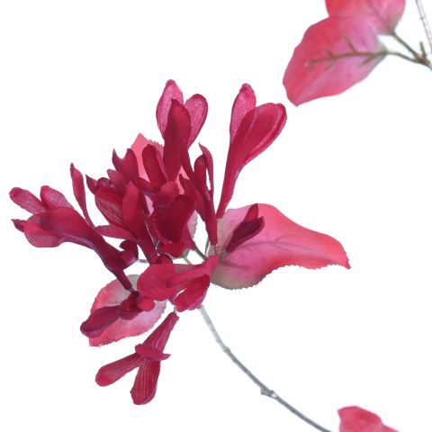 LARGE HONEYSUCKLE 120CM GOLD RED