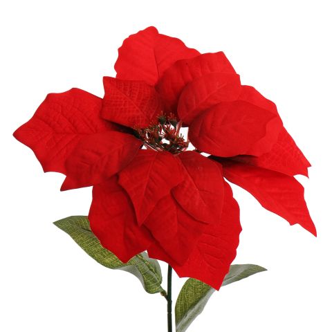 LARGE POINSETTIA 62CM RED