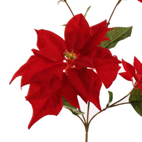 POINSETTIA SPRAY 65CM RED