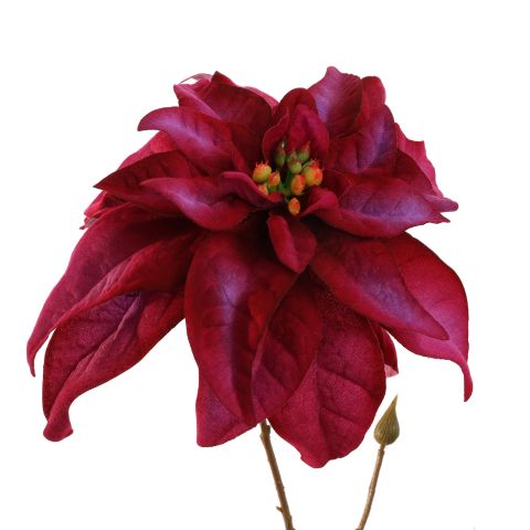 POINSETTIA 67CM LAVENDER