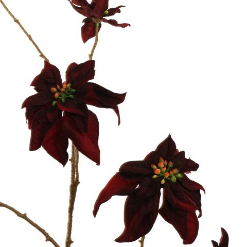 POINSETTIA 106CM BURGUNDY