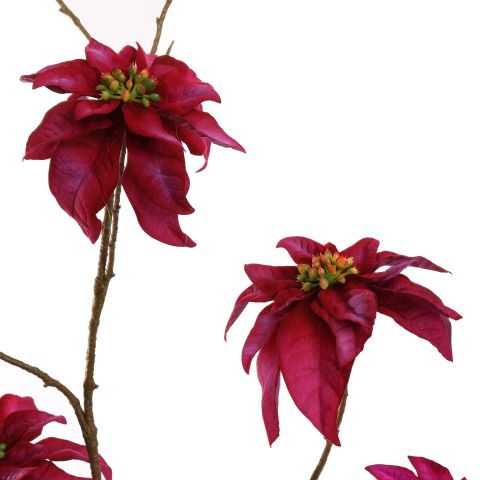 POINSETTIA 106CMLAVENDER