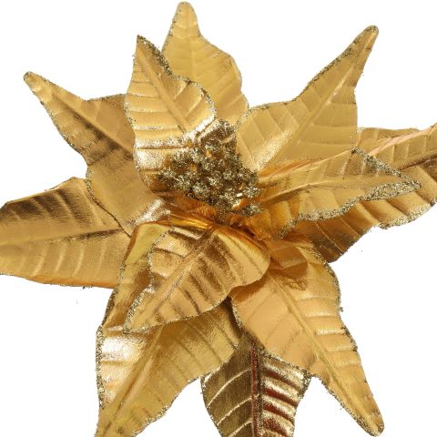 SHINY POINSETTIA D29CM H50CM GOLD