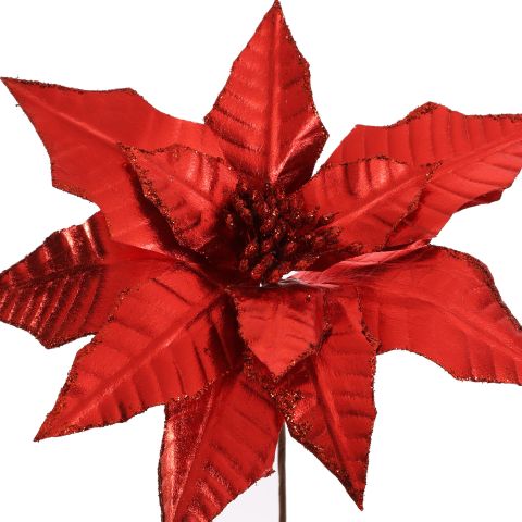 SHINY POINSETTIA D29CM H50CM RED