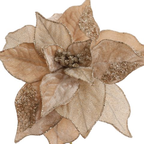 LUXUS POINSETTIA D26CM H50CM BEIGE