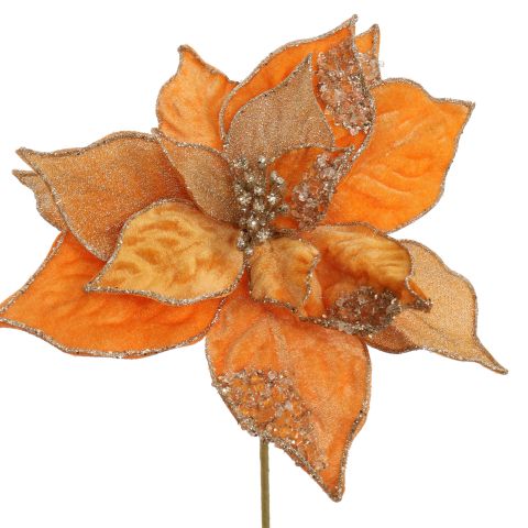 LUXUS POINSETTIA D26CM H50CM ORANGE