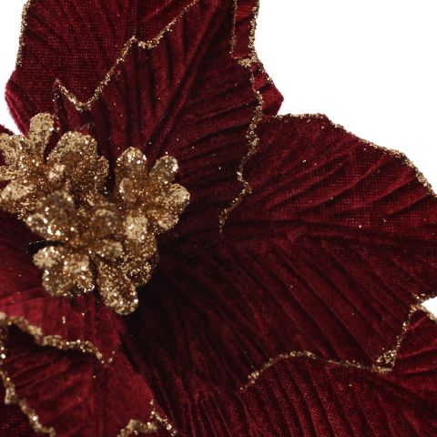 POINSETTIA D23CM H45CM BURGUNDY