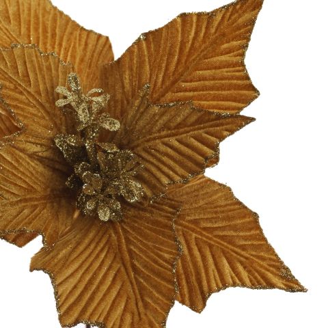 POINSETTIA D23CM H45CM OCRE