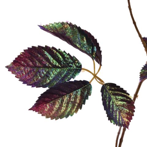 LEAF SPRAY SHINY 75CM BURGUNDY
