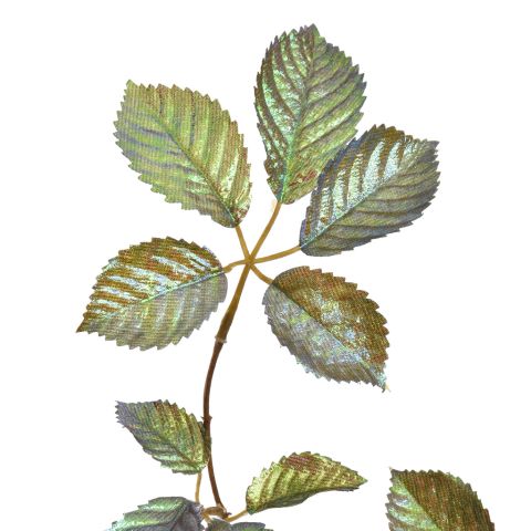 LEAF SPRAY SHINY 75CM GREEN