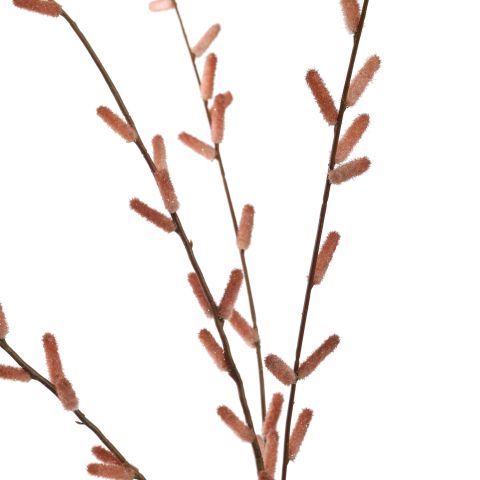 PUSSY WILLOW GLITTER 122CM BROWN