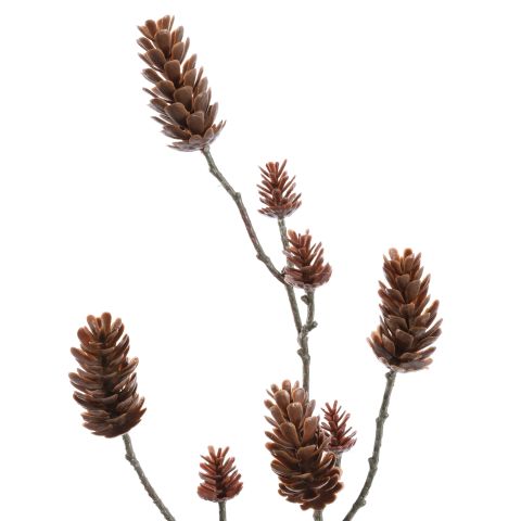 PINECONE BRANCH 60CM BROWN
