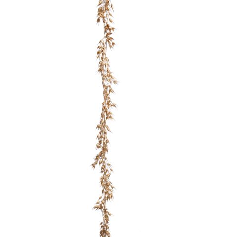 98450056-rice_0.jpeg